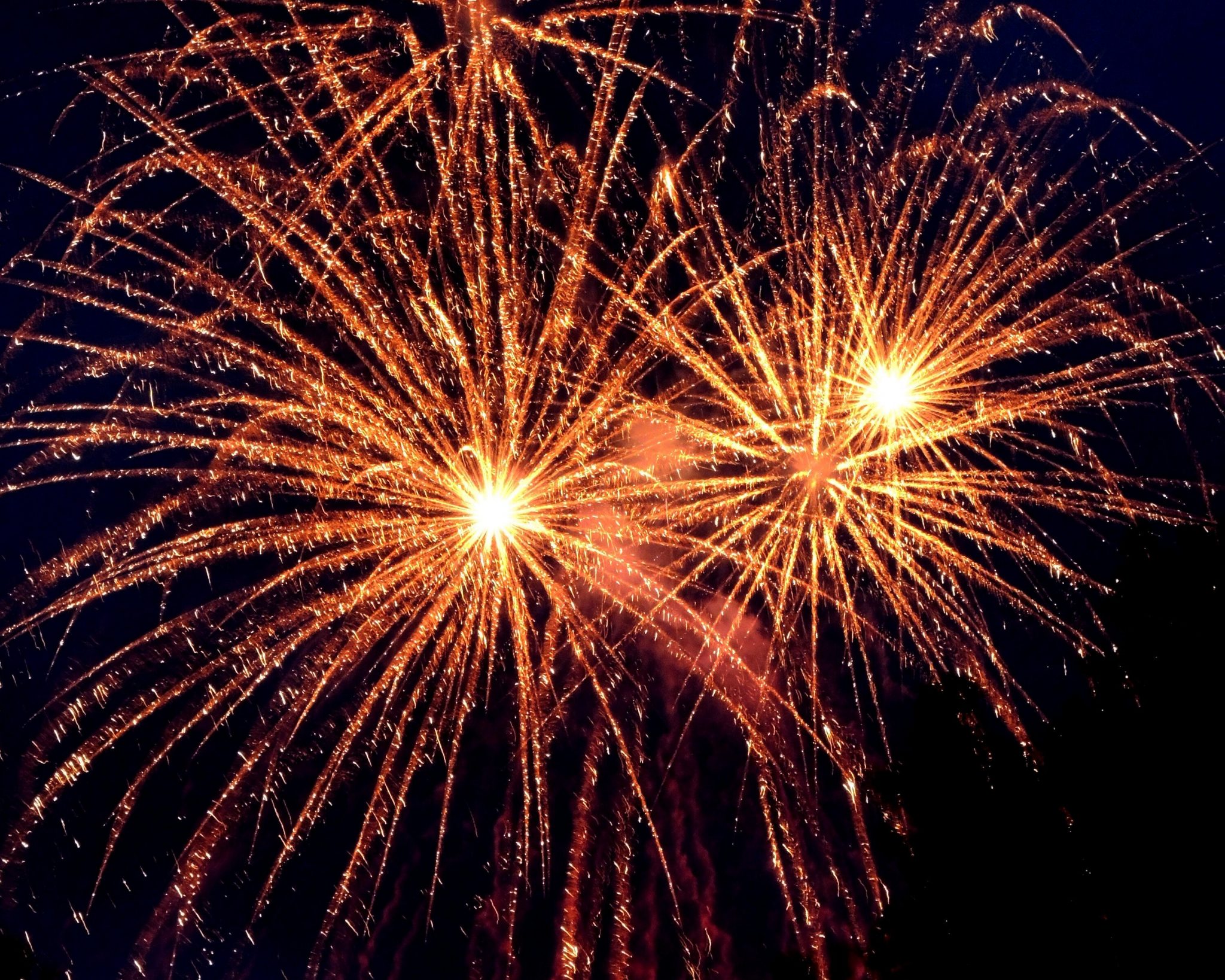 Nieuwjaarsreceptie donderdag 1 januari 2026